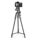 Штатив NeePho NP-8820, 56-150 см, знімна площадка, чохол у комплекті, Чорний